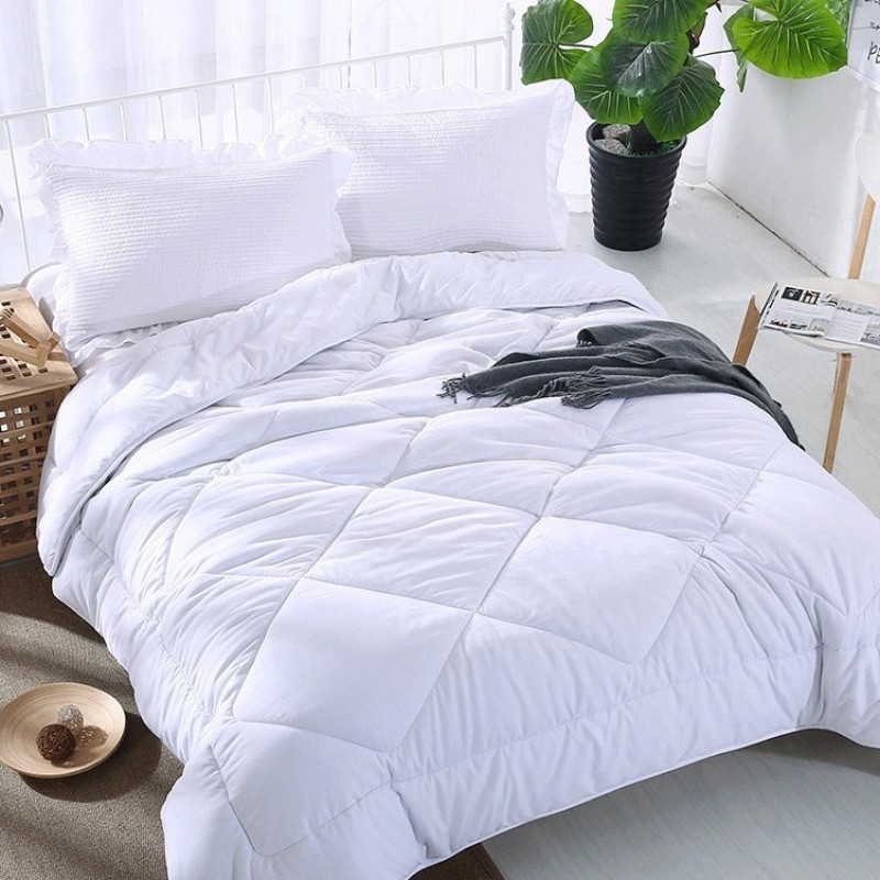 Winter Quilt Inner Thin Cotton Quilt Spring And Au...