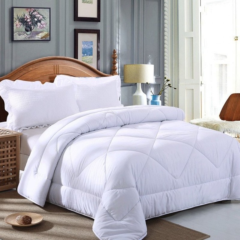 Winter Quilt Inner Thin Cotton Quilt Spring And Autumn Light Summer Four Seasons