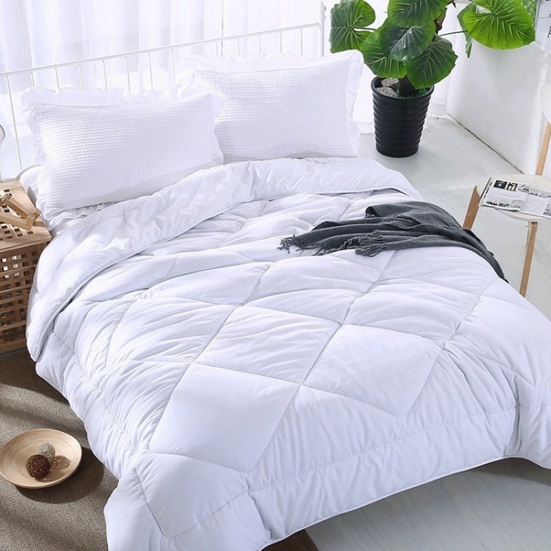 Winter Quilt Inner Thin Cotton Quilt Spring And Autumn Light Summer Four Seasons