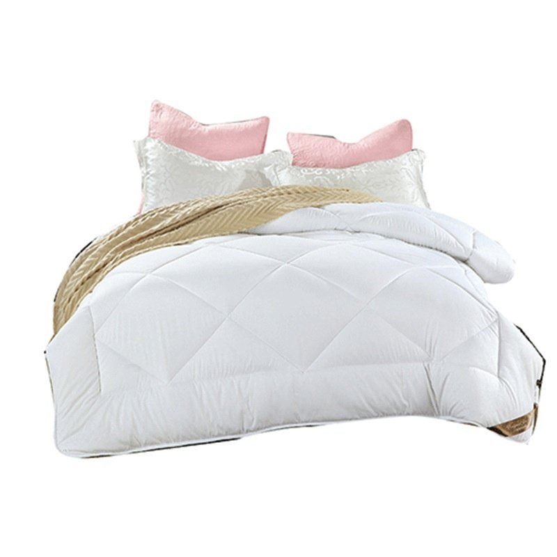 Winter Quilt Inner Thin Cotton Quilt Spring And Autumn Light Summer Four Seasons