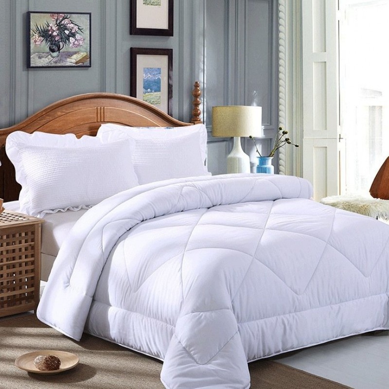 Winter Quilt Inner Thin Cotton Quilt Spring And Autumn Light Summer Four Seasons