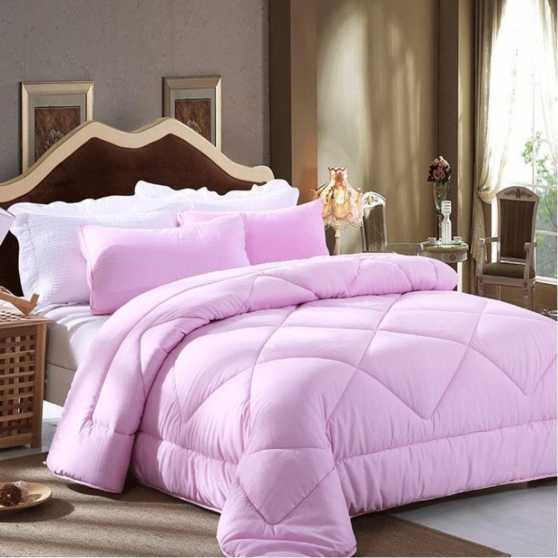 Winter Quilt Inner Thin Cotton Quilt Spring And Autumn Light Summer Four Seasons