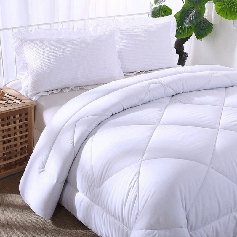 Winter Quilt Inner Thin Cotton Quilt Spring And Autumn Light Summer Four Seasons